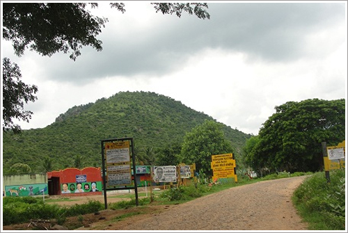 Amrithi Forest